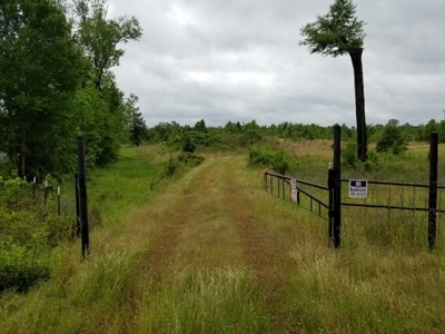 Texas Land Auction Karnack, TX - image 2