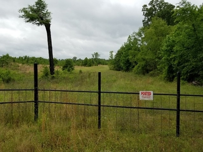 Texas Land Auction Karnack, TX - image 1