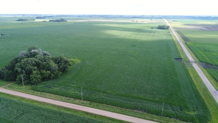 Premium Row Crop Bottom, Blue Earth County, Lake Crystal, MN - image 12