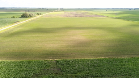 Premium Row Crop Bottom, Blue Earth County, Lake Crystal, MN - image 5