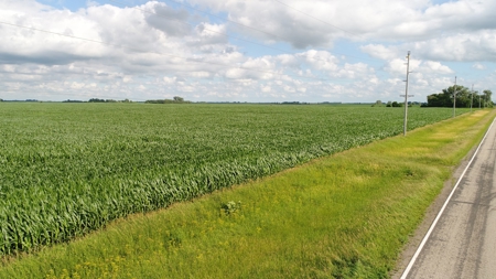 Premium Row Crop Bottom, Blue Earth County, Lake Crystal, MN - image 9