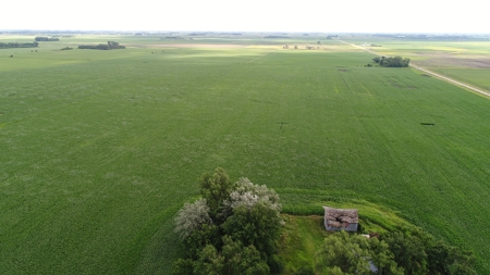 Premium Row Crop Bottom, Blue Earth County, Lake Crystal, MN - image 11