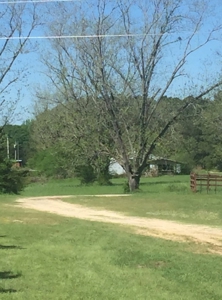 Auction 41 acres and Double Wide Mobile Home For Auction - image 9