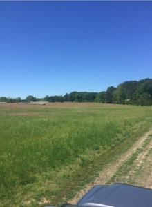 Auction 41 acres and Double Wide Mobile Home For Auction - image 13