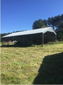 Auction 41 acres and Double Wide Mobile Home For Auction - image 31