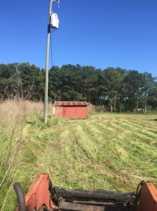 Auction 41 acres and Double Wide Mobile Home For Auction - image 16