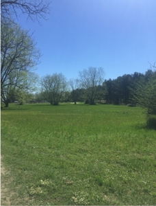 Auction 41 acres and Double Wide Mobile Home For Auction - image 5