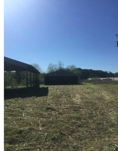 Auction 41 acres and Double Wide Mobile Home For Auction - image 28