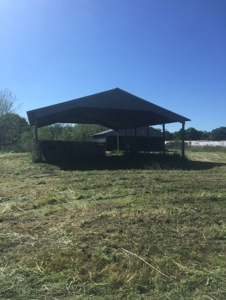 Auction 41 acres and Double Wide Mobile Home For Auction - image 22