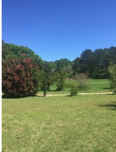 Auction 41 acres and Double Wide Mobile Home For Auction - image 19
