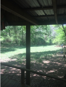 Auction 41 acres and Double Wide Mobile Home For Auction - image 8