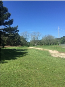 Auction 41 acres and Double Wide Mobile Home For Auction - image 17