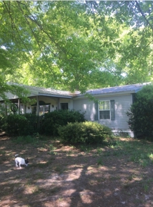 Auction 41 acres and Double Wide Mobile Home For Auction - image 25