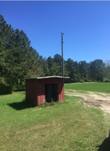 Auction 41 acres and Double Wide Mobile Home For Auction - image 12