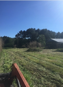 Auction 41 acres and Double Wide Mobile Home For Auction - image 23