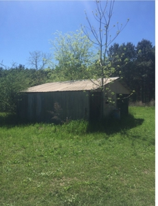 Auction 41 acres and Double Wide Mobile Home For Auction - image 10