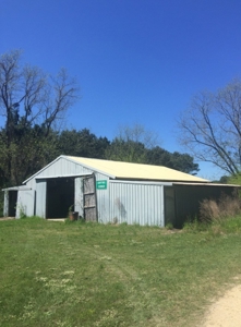 Auction 41 acres and Double Wide Mobile Home For Auction - image 3