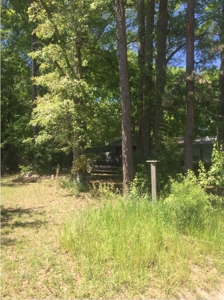 Auction 41 acres and Double Wide Mobile Home For Auction - image 14