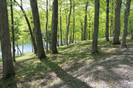 Waterfront Lake Home and Lots For Sale Scottsville, KY - image 28