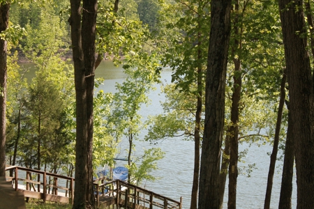Waterfront Lake Home and Lots For Sale Scottsville, KY - image 17