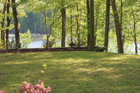 Waterfront Lake Home and Lots For Sale Scottsville, KY - image 29
