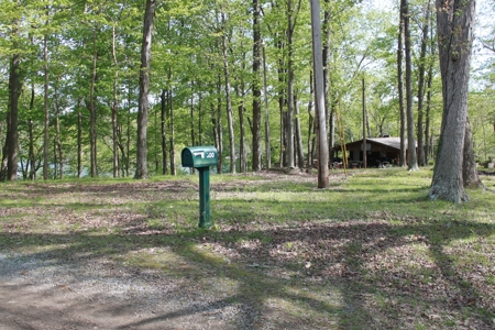 Waterfront Lake Home and Lots For Sale Scottsville, KY - image 5