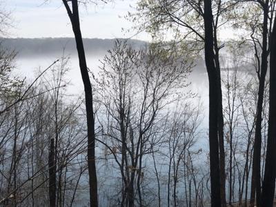 Waterfront Lake Home and Lots For Sale Scottsville, KY - image 25