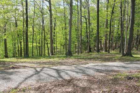 Waterfront Lake Home and Lots For Sale Scottsville, KY - image 8