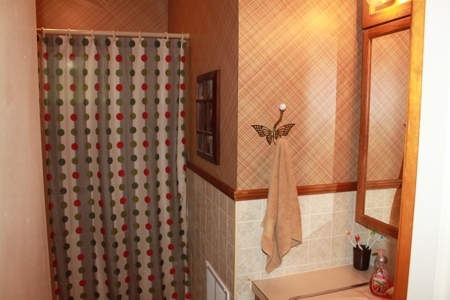Waterfront Lake Home and Lots For Sale Scottsville, KY - image 45