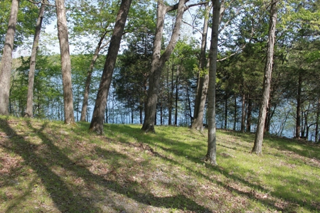 Waterfront Lake Home and Lots For Sale Scottsville, KY - image 12