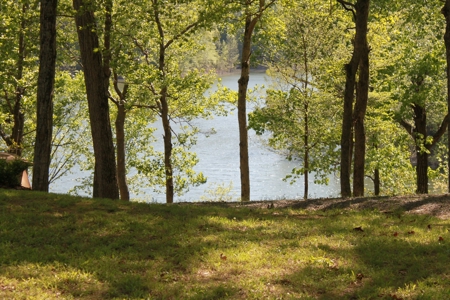 Waterfront Lake Home and Lots For Sale Scottsville, KY - image 27