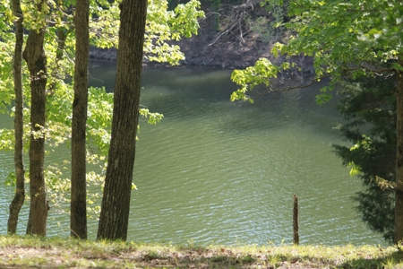 Waterfront Lake Home and Lots For Sale Scottsville, KY - image 31