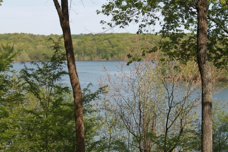 Waterfront Lake Home and Lots For Sale Scottsville, KY - image 3