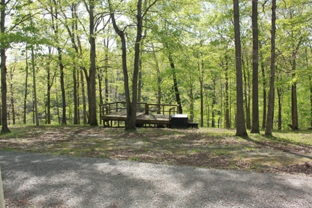 Waterfront Lake Home and Lots For Sale Scottsville, KY - image 4