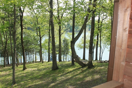 Waterfront Lake Home and Lots For Sale Scottsville, KY - image 1