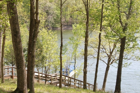 Waterfront Lake Home and Lots For Sale Scottsville, KY - image 2