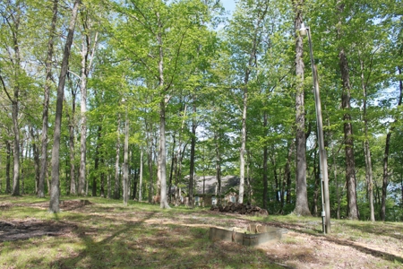 Waterfront Lake Home and Lots For Sale Scottsville, KY - image 9
