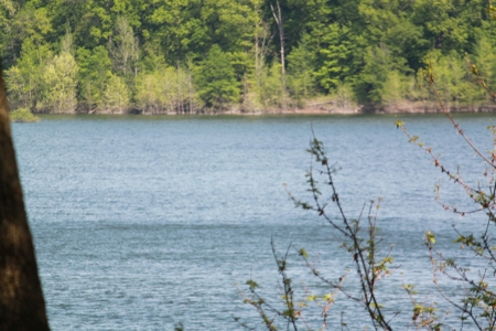 Waterfront Lake Home and Lots For Sale Scottsville, KY - image 18