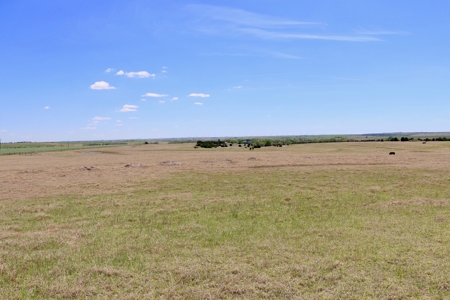 Custer County Land Property For Sale Thomas Oklahoma Acreage - image 23
