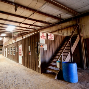 Oklahoma Property For Sale Indoor Arena Multi Purpose Land - image 5