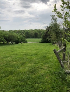 Sold!!! Absolute Auction  Saturday June 1, 2019 At 10:00 Am - image 22