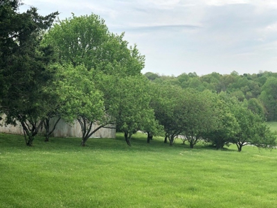 Sold!!! Absolute Auction  Saturday June 1, 2019 At 10:00 Am - image 23