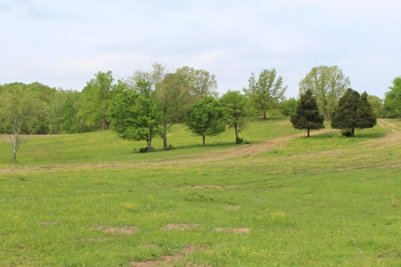 327 Acre Edmonson Kentucky Crop, Cattle & Hunting Farm - image 22