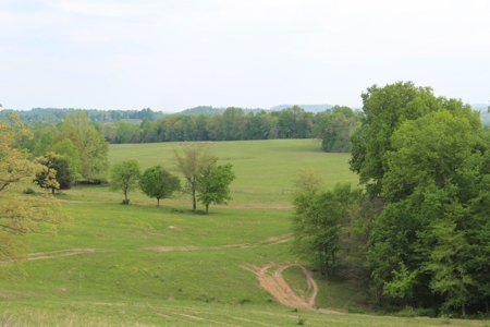 327 Acre Edmonson Kentucky Crop, Cattle & Hunting Farm - image 19