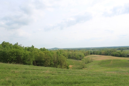 327 Acre Edmonson Kentucky Crop, Cattle & Hunting Farm - image 28