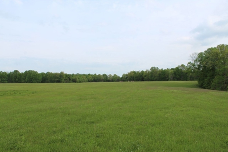 327 Acre Edmonson Kentucky Crop, Cattle & Hunting Farm - image 32