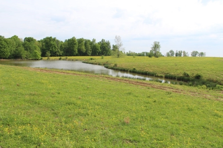 327 Acre Edmonson Kentucky Crop, Cattle & Hunting Farm - image 8