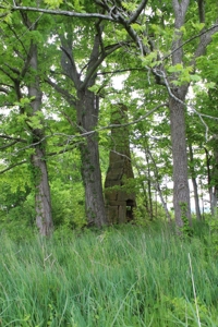 327 Acre Edmonson Kentucky Crop, Cattle & Hunting Farm - image 37