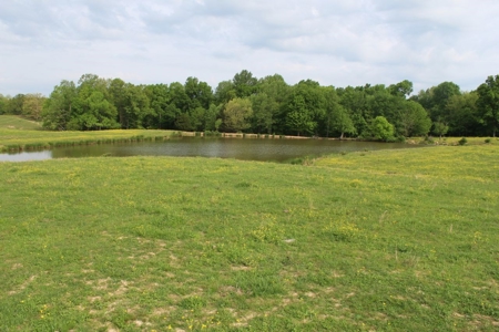 327 Acre Edmonson Kentucky Crop, Cattle & Hunting Farm - image 3