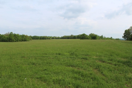 327 Acre Edmonson Kentucky Crop, Cattle & Hunting Farm - image 20